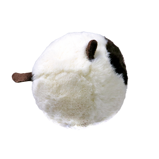Sammy - US 1158