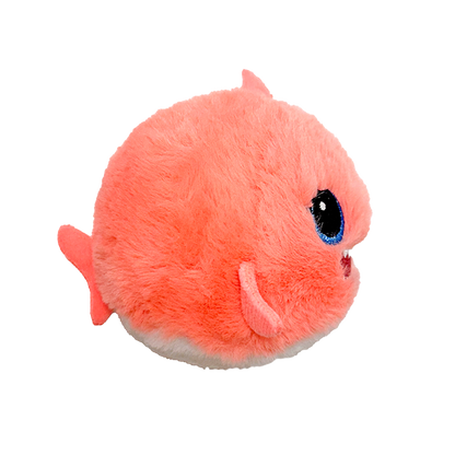 Reef - US 5364