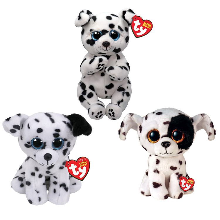 Dalmatian Bundle - US 6215