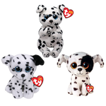 Dalmatian Bundle - US 6215
