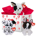 Spots Bundle - US 7229