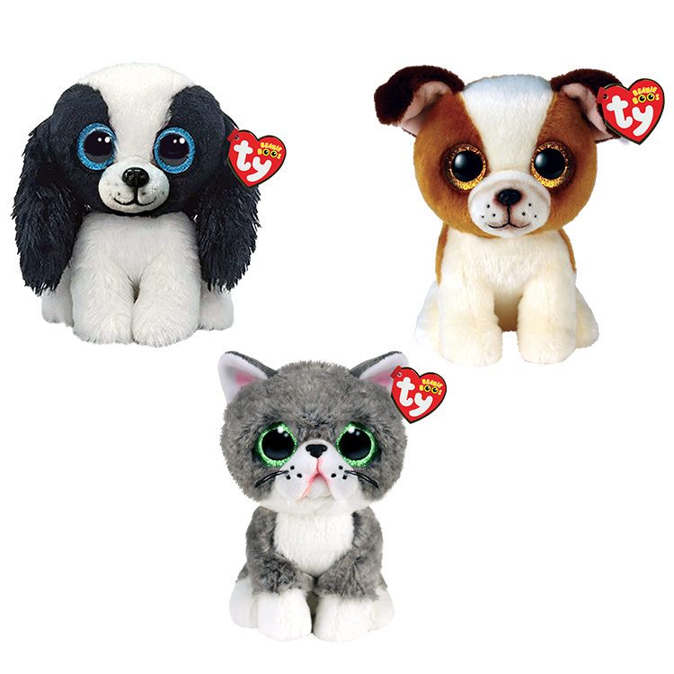 Road Trip Rascals Bundle - US 3229