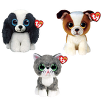Road Trip Rascals Bundle - US 3229