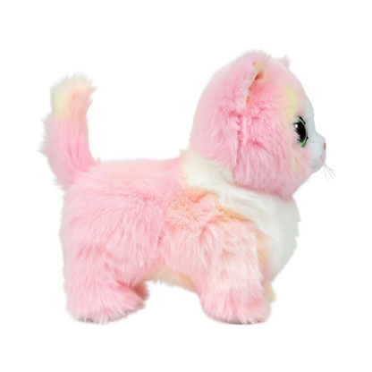 Lady - US 6431